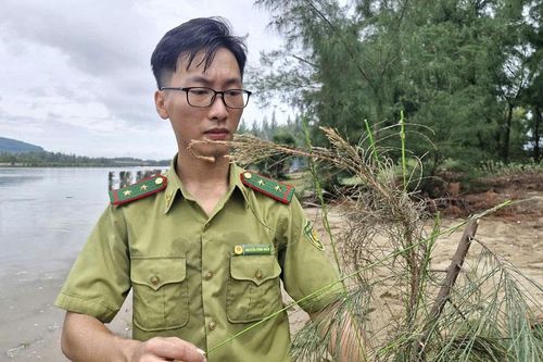 Hà Tĩnh: tháo dỡ , tiêu hủy hàng loạt dụng cụ săn bắt chim di cư