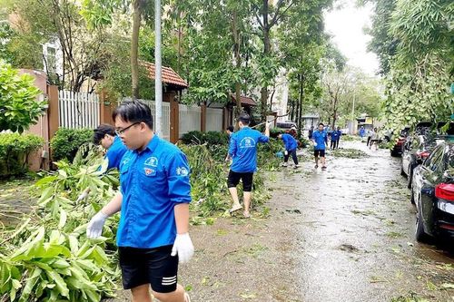 Chủ tịch thành phố Hà Nội yêu cầu thu dọn xong cây xanh gãy đổ trước ngày 20/9