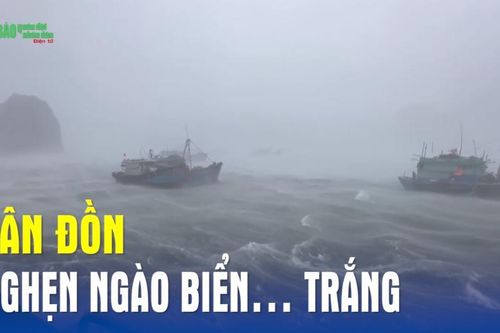 Vân Đồn nghẹn ngào biển… trắng