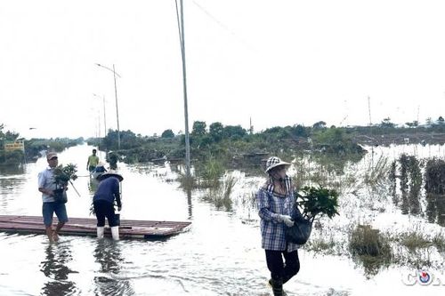 Hưng Yên: Mực nước sông Hồng và sông Luộc giảm, người dân 'hối hả' dọn dẹp sau mưa lũ