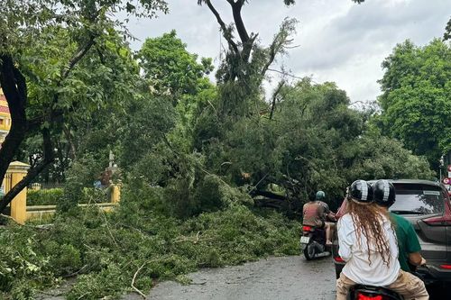 Phát triển đô thị chống chịu thiên tai