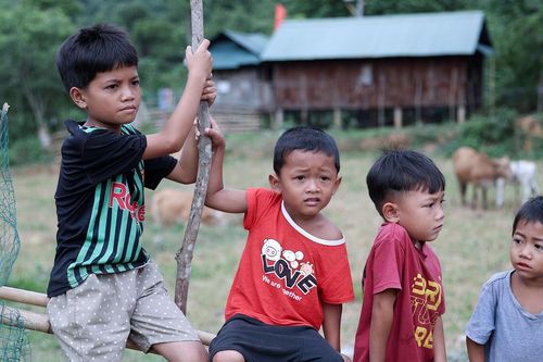 Tạo sinh kế bền vững, giúp người dân nghèo xóa tư duy nuôi trồng lạc hậu