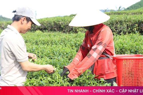 Chung tay trong 'cuộc chiến' giảm nghèo bền vững ở xã vùng biên