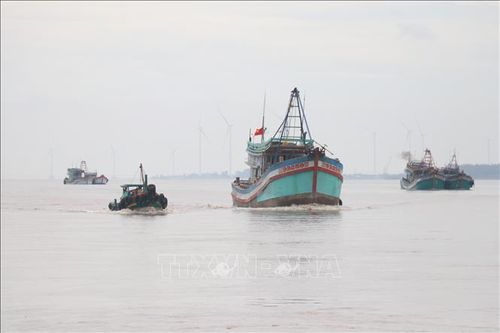 Xử lý triệt để tàu cá mất kết nối thiết bị giám sát hành trình