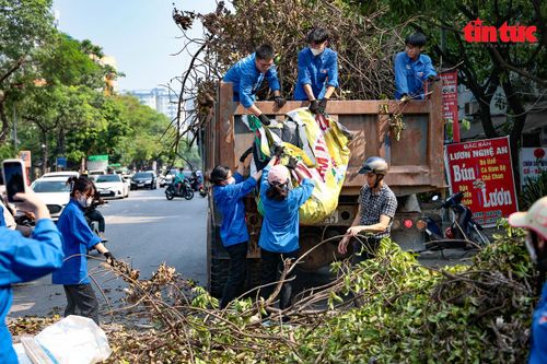 Hà Nội: Phường Đại Kim tổng vệ sinh sau bão Yagi