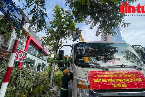 Hà Nội: Công nhân công ty cây xanh các địa phương hỗ trợ dọn cây xanh gãy đổ