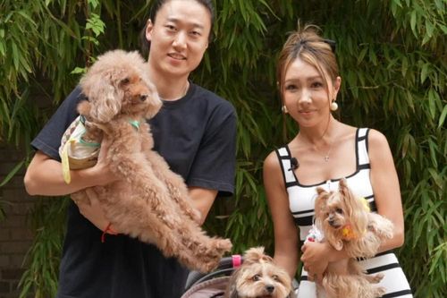Viễn cảnh thú cưng 'áp đảo' trẻ nhỏ khiến giới chức Trung Quốc lo lắng