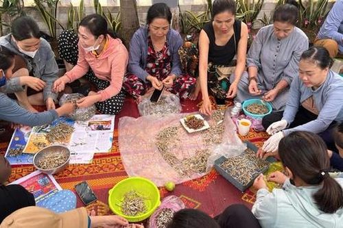 Phụ nữ Quảng Bình: Hàng ngàn hộp cá khô rim lạc, ruốc, mắm tép gửi các tỉnh bị bão lũ