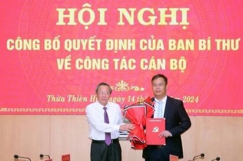 Nhiều tỉnh bổ nhiệm cán bộ; doanh nghiệp niêm yết liên tục thay 'ghế nóng'