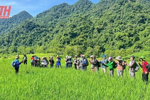 'Giữ chân' du khách những tháng cuối năm