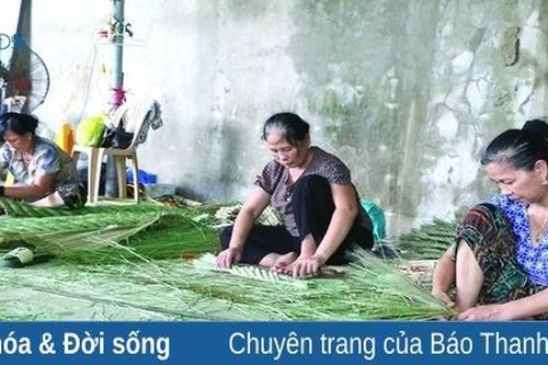 Thăng trầm... đời cói