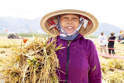 Những mùa gặt đi qua…