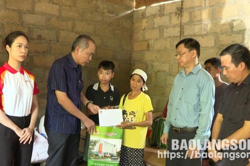 Đoàn công tác của Trung ương Hội Nông dân Việt Nam thăm hỏi, trao quà cho hội viên nông dân bị ảnh hưởng do bão số 3