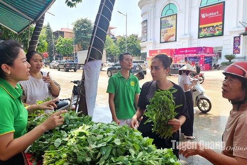 Tặng rau xanh miễn phí ủng hộ người dân khắc phục bão số 3