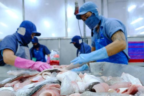 Thủy sản Vĩnh Hoàn (VHC) là nhà xuất khẩu cá tra Việt Nam lớn nhất tại Anh