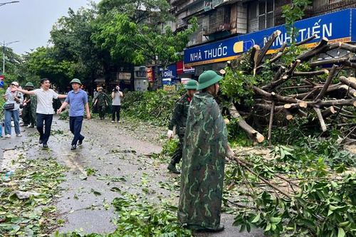 Hà Nội khẩn trương khắc phục hậu quả bão, đảm bảo vệ sinh môi trường