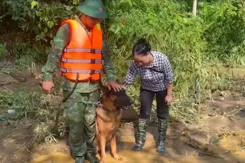Phát hiện thêm thi thể nạn nhân tại Làng Nủ