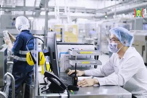 Doanh nghiệp chuyển đổi xanh để phát triển bền vững