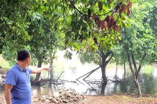 Dự án đầu tư xây dựng Công viên nghĩa trang Yên Kỳ mở rộng - giai đoạn 1: Bao giờ người dân mới an cư?