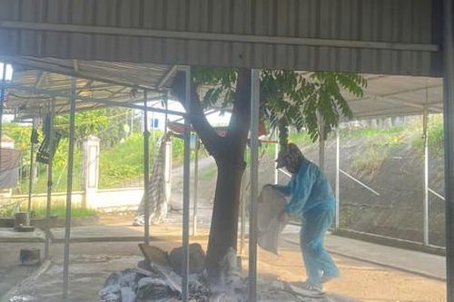 Phúc Thọ: Tiêu độc, khử trùng và vệ sinh môi trường tại 21 xã, thị trấn