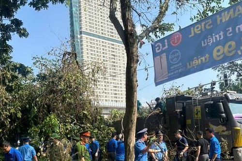 Sở Giao thông vận tải Hà Nội huy động toàn lực lượng tham gia tổng vệ sinh sau bão số 3
