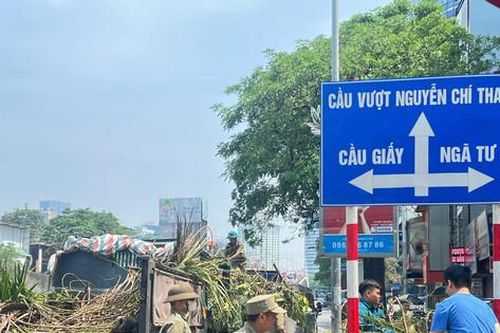 Cầu Giấy căng mình dọn cây xanh gãy đổ tại phường bị thiệt hại nặng nhất