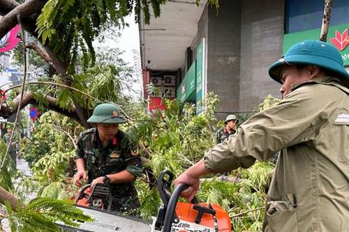 Hà Nội: Hoàn thành thu dọn cây xanh gãy, đổ ở các quận trước 20-9