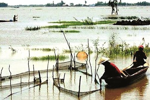 Nhớ mùa nước lũ