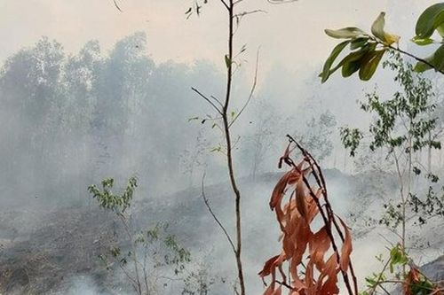 Quảng Trị: Nam giáo viên tử vong sau khi đi đốt thực bì
