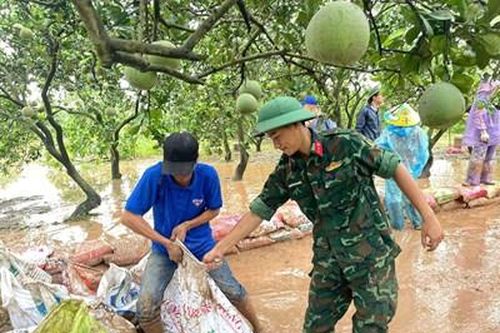 Tuổi trẻ Thủ đô xung kích khắc phục hậu quả bão lũ