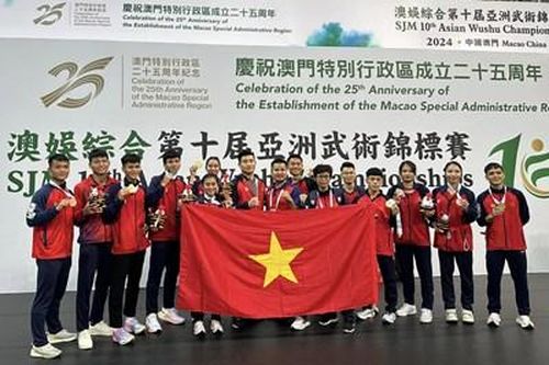 Đội tuyển wushu Việt Nam giành 14 huy chương châu Á
