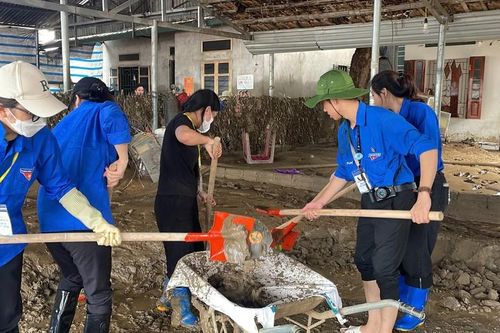 Gần 100 sinh viên Trường đại học Điện lực giúp người dân khắc phục hậu quả mưa lũ