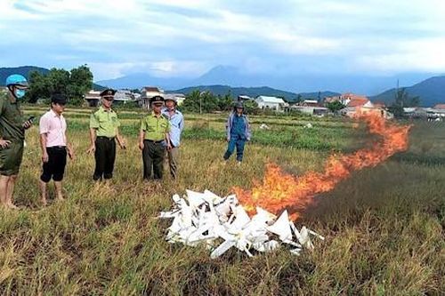 Tháo dỡ 'ma trận' bẫy chim trời mùa di cư