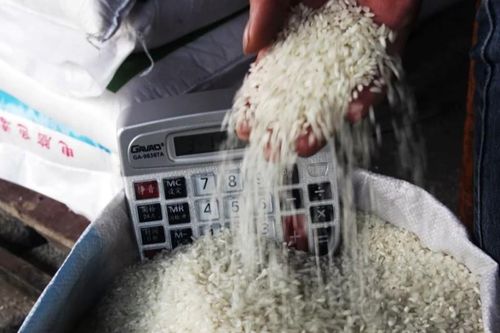 Xuất cấp gạo, vật tư, hóa chất khử khuẩn cho các địa phương khắc phục hậu quả bão