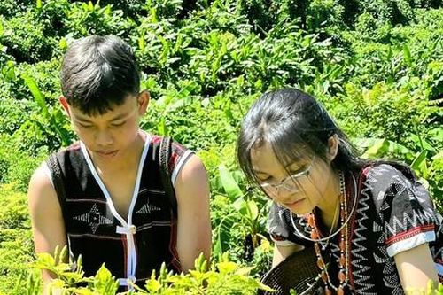 Loài ớt mang huyền tích chim chào mào