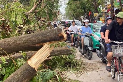 Bão số 3 gây thiệt hại cho Hải Phòng gần 11.000 tỷ đồng