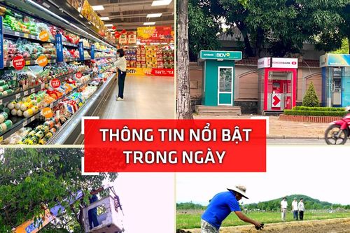 Nghệ An: Thông tin nổi bật ngày 15/9