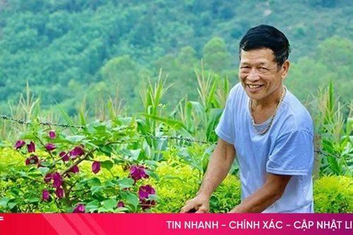 'Quả ngọt' nông thôn mới Ân Phú