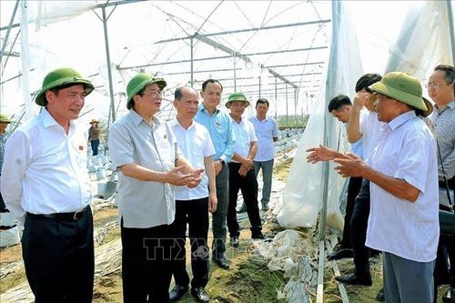 Thăm hỏi, chia sẻ với người dân bị bão lũ tại Hải Dương