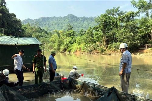 Cá chết hàng loạt, Tuyên Quang khẩn trương lấy mẫu nước phân tích