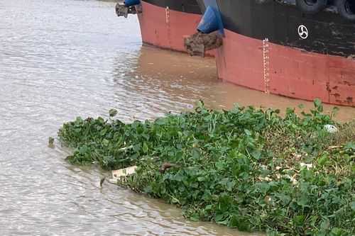 Phát hiện thi thể nam trên sông nghi nhảy cầu