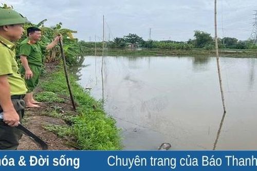 Xử lý nghiêm các trường hợp bẫy bắt, tận diệt chim hoang dã, chim di cư