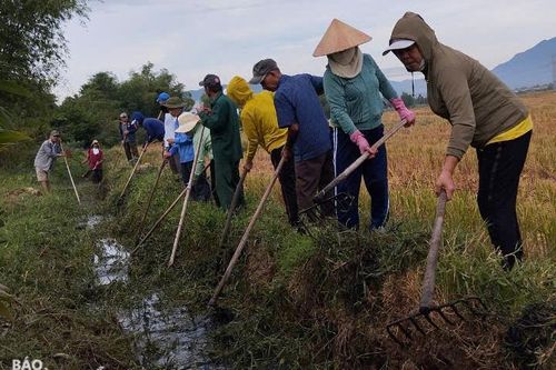 Huyện Hòa Vang đồng loạt ra quân nạo vét, khơi thông 67 kênh, mương, suối và hệ thống thoát nước
