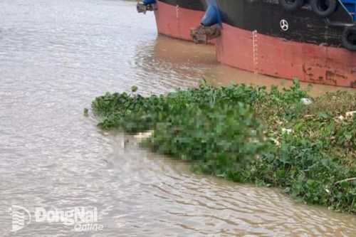 Phát hiện thi thể thanh niên nhảy cầu Hóa An tối 12-9