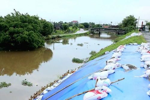 Trên 300 sự cố ảnh hưởng đến an toàn đê