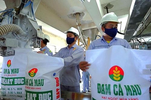 Đạm Cà Mau (DCM) có thể được khấu trừ thuế VAT tới 500 tỷ đồng/năm