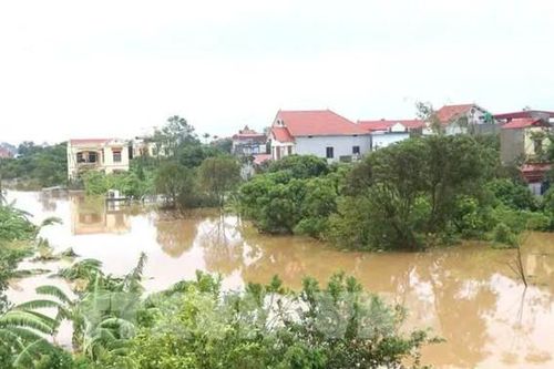 Hưng Yên: Không được chủ quan, lơ là dù mực nước trên các sông đã giảm