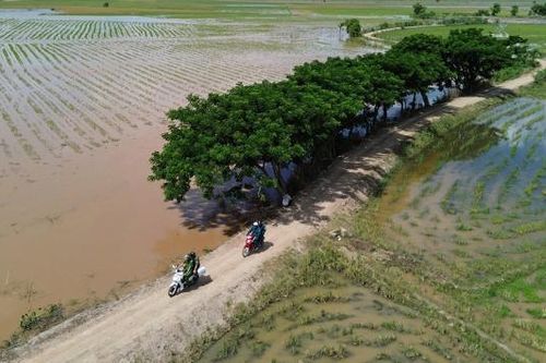 Bình yên tuyến biên giới Tây Nam