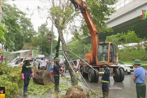 Hà Nội tập trung thu dọn cây xanh gãy, đổ sau bão