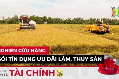 Bản tin Kinh tế Tài chính | 15/09/2024